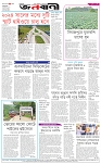 পাতা-৮