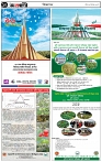 পাতা-১০