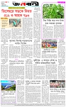 পাতা-৮