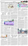 পাতা-৫
